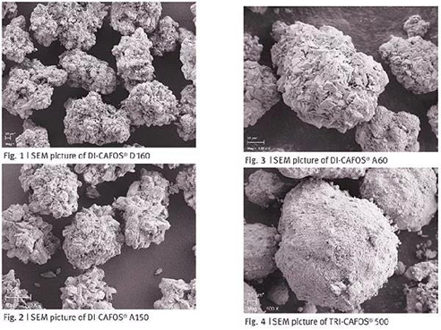 磷酸鈣鹽在直壓工藝中的應(yīng)用